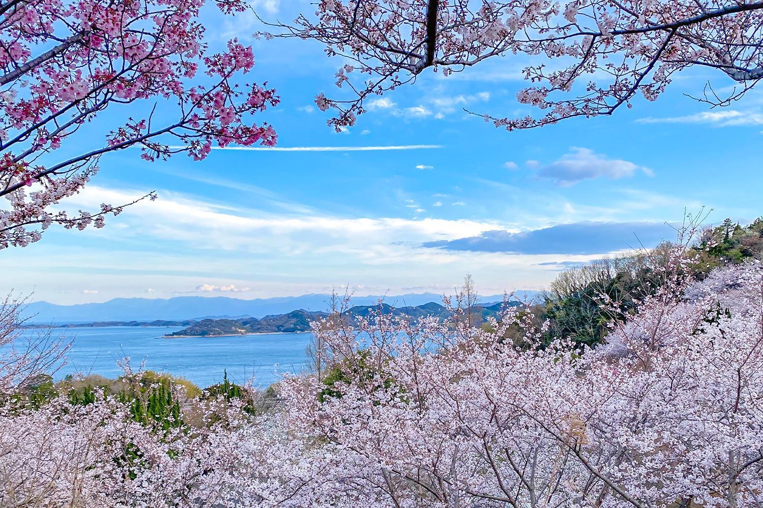 Lemon Farm Glamping Simanami Onomichi Exterior foto